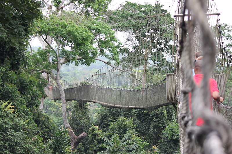 File:Kakum Canopy Walk, Kakum National Park, Ghana.JPG