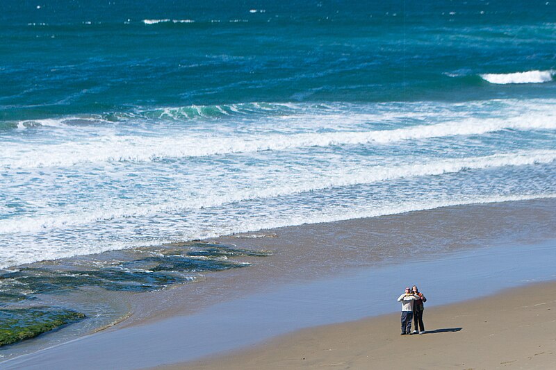 File:Kite Flyers on Moolack Beach.jpg