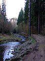 Čeština: Bojovský potok English: Bojovský potok creek in Central Bohemian region, CZ