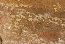 Rock art in the Adi Alauti cave, Eritrea Kohaito, grotta di adi alauti con pitture rupestri databili al 2500 ac ca. 14 bestiame.JPG