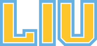 2020–21 LIU Sharks mens ice hockey season