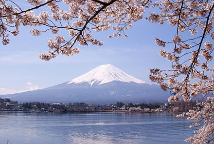 Mount Fuji and sakura (cherry blossoms) are national symbols of Japan.
