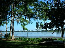 Lake Rousseau, Florida, is the south-easternmost locality which Arctodus simus is known to have inhabited. Lake Rousseau.JPG