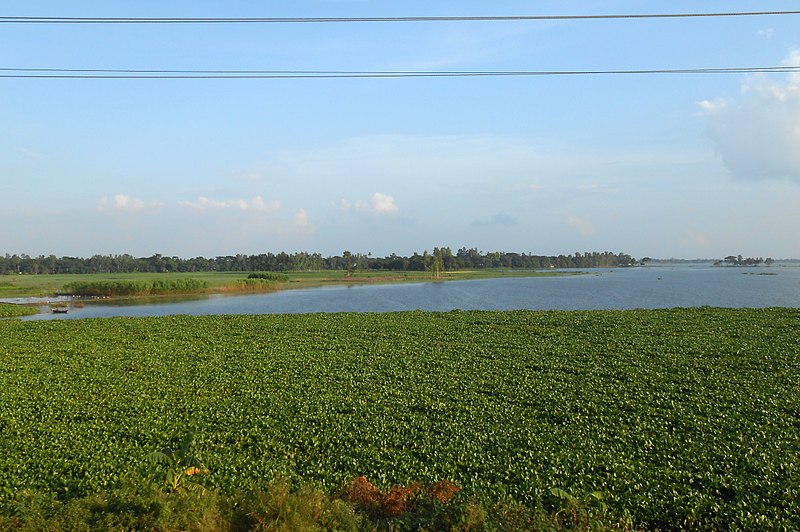 File:Landscape of Raipura Upazila (02).jpg