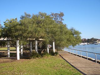 <span class="mw-page-title-main">Lilyfield, New South Wales</span> Suburb of Sydney, New South Wales, Australia