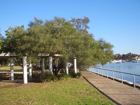 Lilyfield Leichhardt Park