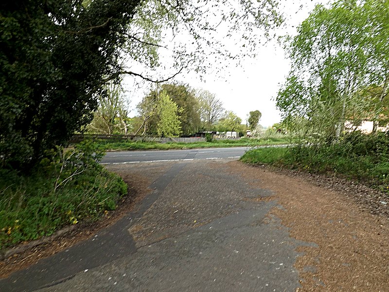 File:Lodge Farm Lane, Barsham - geograph.org.uk - 3948819.jpg