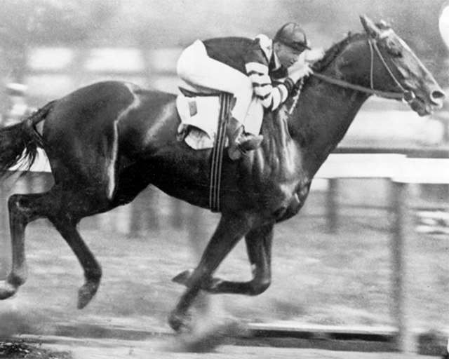 Man o' War at age three