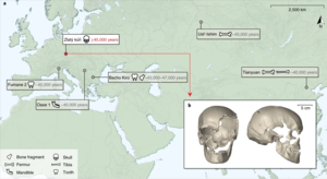 Map of human fossils with an age of at least ~40,000 years that yielded genome-wide data Map of human fossils with an age of at least ~40,000 years that yielded genome-wide data and location of the Zlaty kun fossil.webp