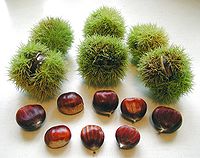 Chestnuts