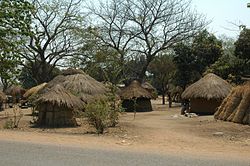 Mfuwe centrs.JPG