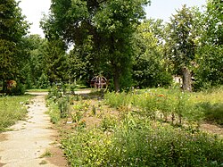 Mirovyane-park.jpg