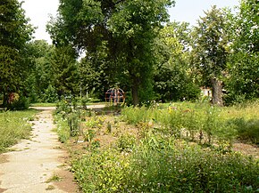Mirovyane-park.jpg