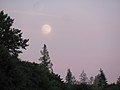 Thumbnail for File:Moon rising over park, Vernonia, Oregon (6111141685).jpg