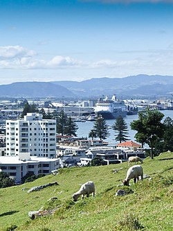 Tauranga de Monto Maunganui