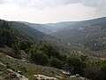 Sakib (Għarbi: ساكب), hija belt fil-Ġordan, Governatorat ta' Jerash; Żona: 16 km²; Altitudni Medja: 1200 m 'il fuq mil-livell tal-baħar. n. m.; Popolazzjoni (2015): 11,586 abitant, Densità: 724.13 abitant/km².