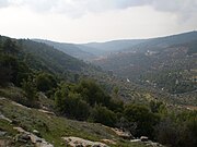 Farms in the mountains of Sakib in Jerash