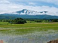 於 2020年4月20日 (一) 06:51 版本的縮圖