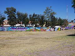 Mural de Dragon Ball Z en una calle de Aguascalientes 03.jpg