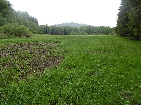 Naturschutzgebiet Gutmecke und Renau