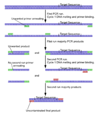 Nested PCR Nested PCR.png