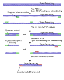 A diagram illustrating the method of nested PCR. Nested PCR.png