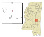 Newton County Mississippi Incorporated and Unincorporated areas Decatur Highlighted.svg