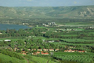 <span class="mw-page-title-main">Kvutzat Kinneret</span> Place in Northern, Israel