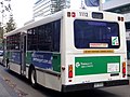 Mercedes-Benz O405 Diesel, Transperth