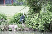 Offroad Safari v ZOO Dvůr Králové 28.5.2016