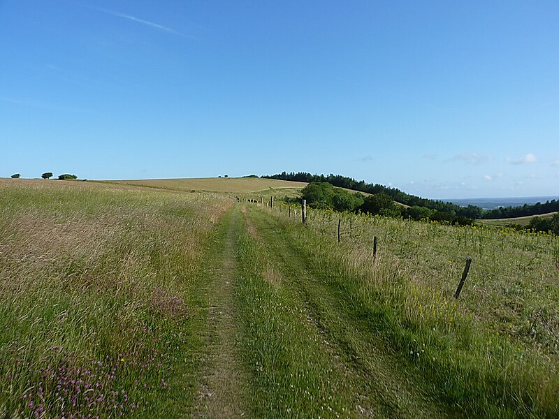 File:On Little Round Down - geograph.org.uk - 4586853.jpg