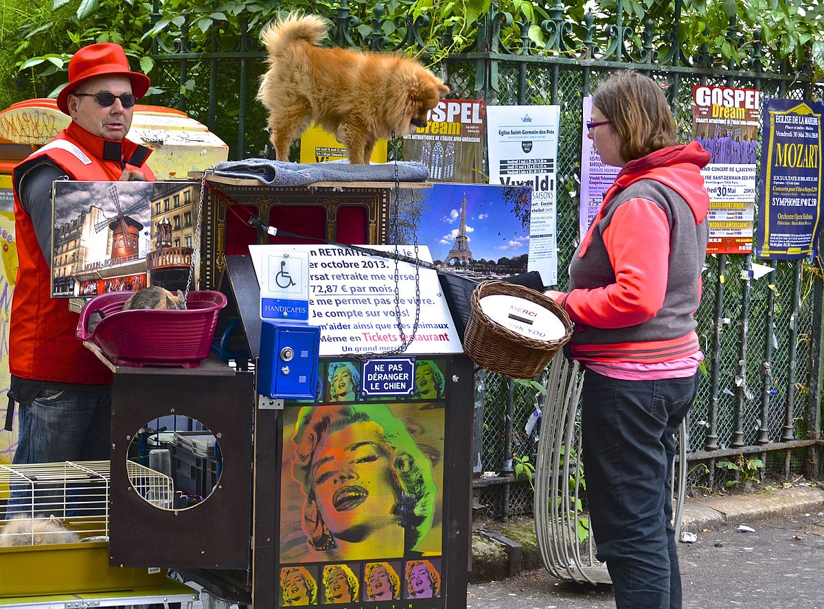 paris pet market