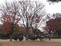Osaka Castle 34.JPG