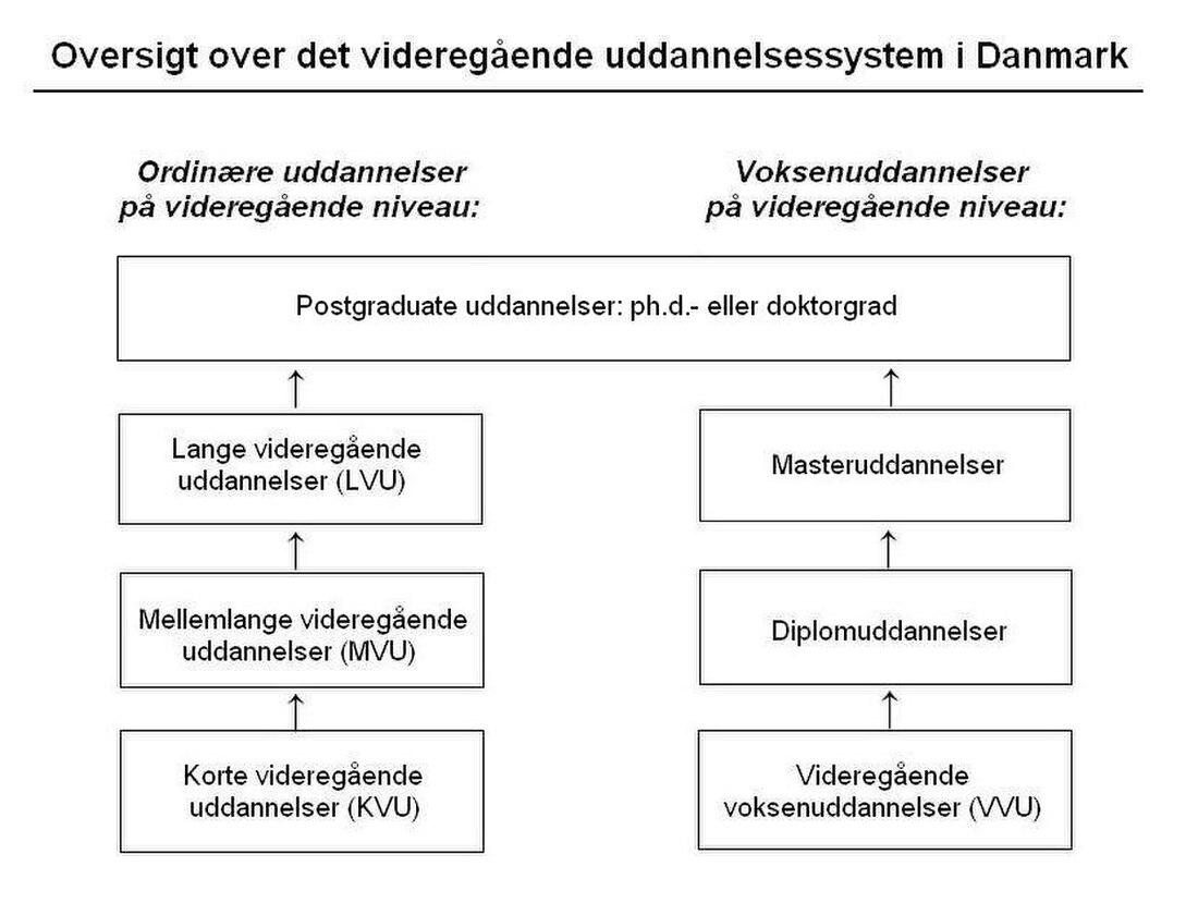 Videregående uddannelser i Danmark