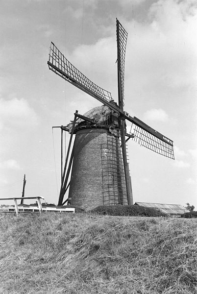 File:Overzicht van de molen - Goidschalkxoord - 20079994 - RCE.jpg