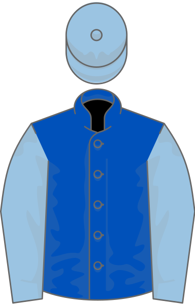 File:Owner Ballymore Thoroughbred Ltd.svg