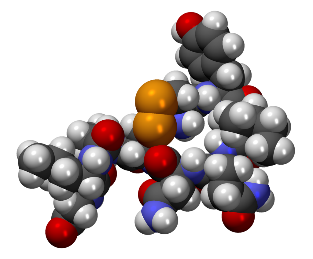  OxitocinaCPK3D 