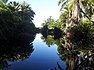 Pantanal de Marimbus