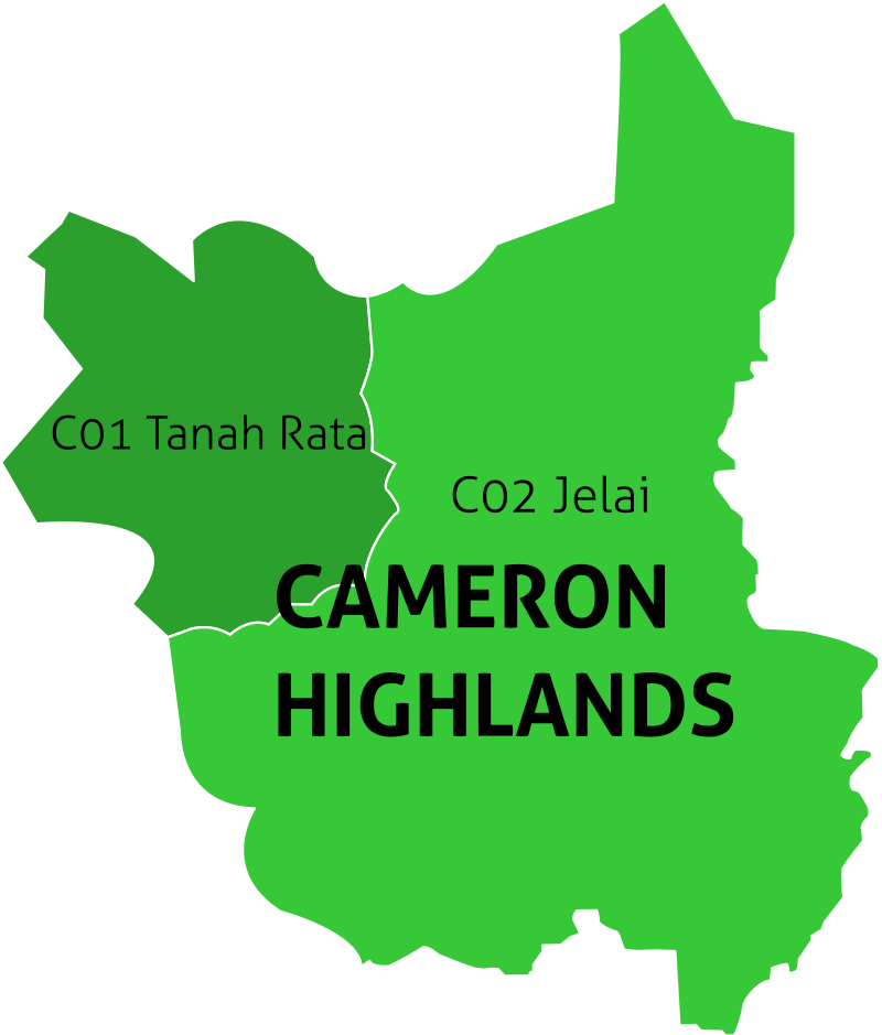 Billion cameron highland