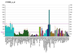 PBB GE CSNK1A1 213086 s bei fs.png