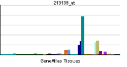 PBB GE SNAI2 213139 ĉe tn.png