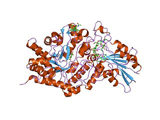 <span class="mw-page-title-main">Glycoside hydrolase family 3</span>