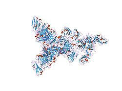 PDB 2j1k EBI.jpg