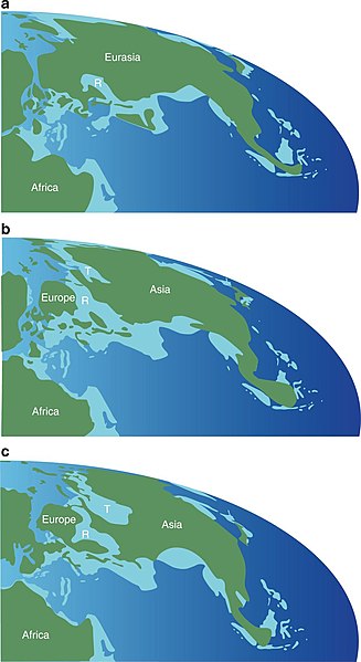 File:Paleogeographic maps east Asia. Turgai Sea.jpg