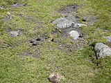 Català: Tossa Plana de Lles-Puigpedrós (Cerdanya, Alt Urgell) (Lles de Cerdanya, les Valls de Valira, Meranges i altres). Fotos preses en una excursió del refugi de Malniu als estanys de Malniu i Mal. This is a a photo of a natural area in Catalonia, Spain, with id: ES510205 Object location 42° 27′ 00″ N, 1° 42′ 00″ E  View all coordinates using: OpenStreetMap