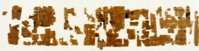 Parte del papiro
