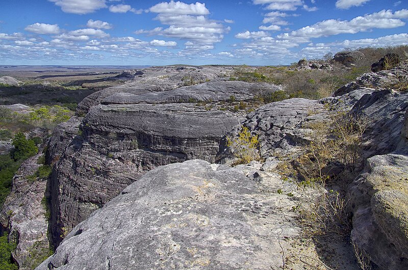 File:Parque Nacional da Serra das Confusões (8071451972).jpg