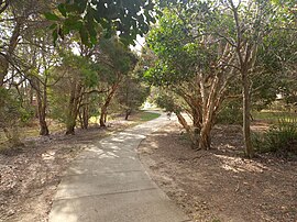 Caminho perto de Cowra Terrace.jpg