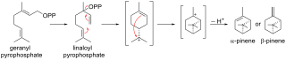 Biosynthesis of pinene from geranyl pyrophosphate