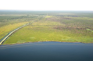 Alligator River National Wildlife Refuge